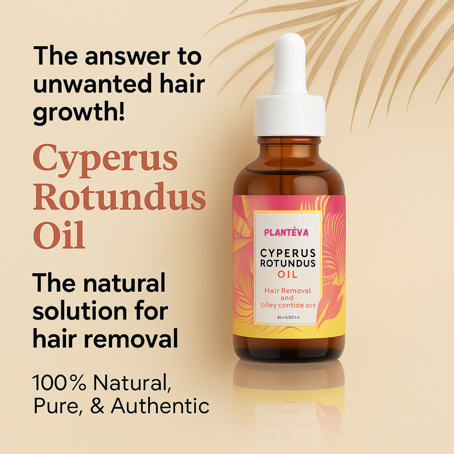 Suvéea Cyperus Rotundas Oil