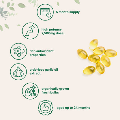 Suvéea Aged Garlic Softgels